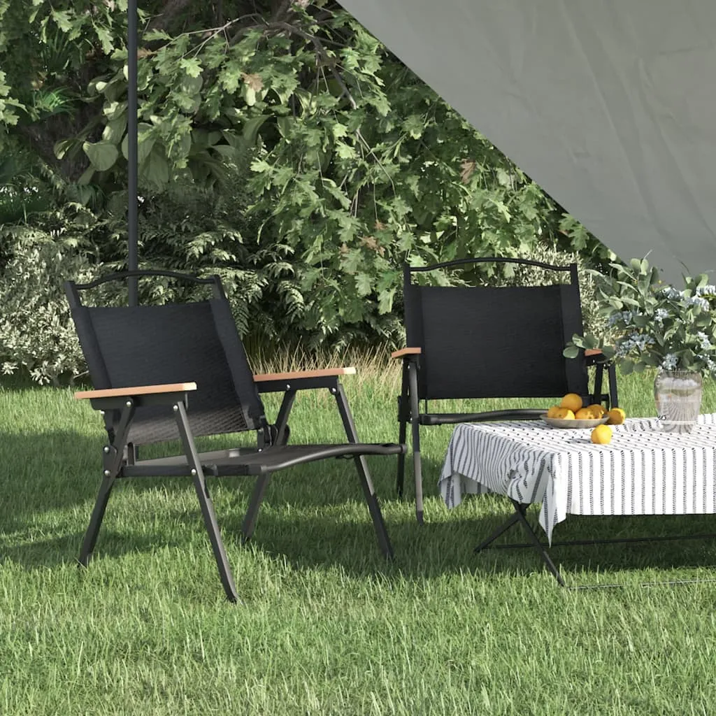 Camping Chair 2 Pcs Outdoor Folding Camping Beach Chair Oxford Fabric