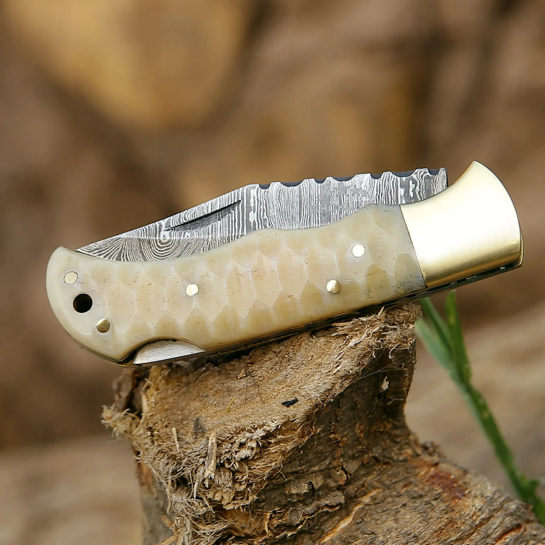 Phoenix Pocket Knife with Forged Bone Handle